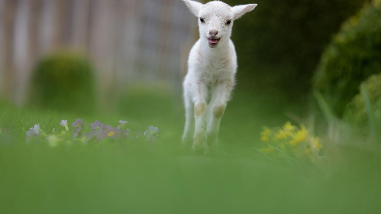 Wetterbericht: Wo die Feiertage stürmisch werden - und wo 23 Grad winken