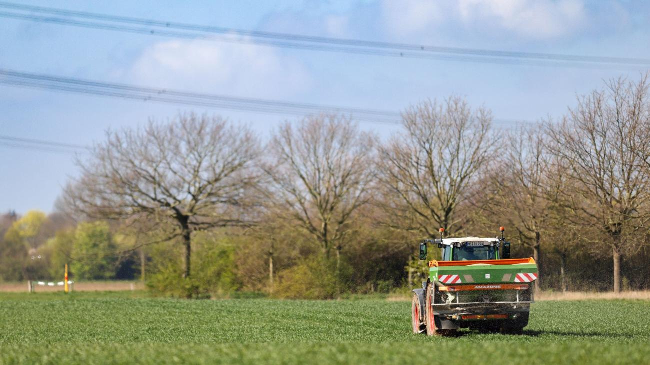 Wetter an den Osterfeiertagen: Wolken und Regen zum Ende der Woche - dann Sonnenschein