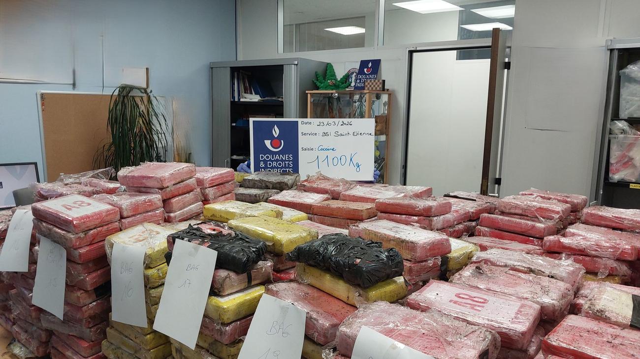 Frankreich: Zoll findet Kokain im Millionenwert in Blumenerde-Laster