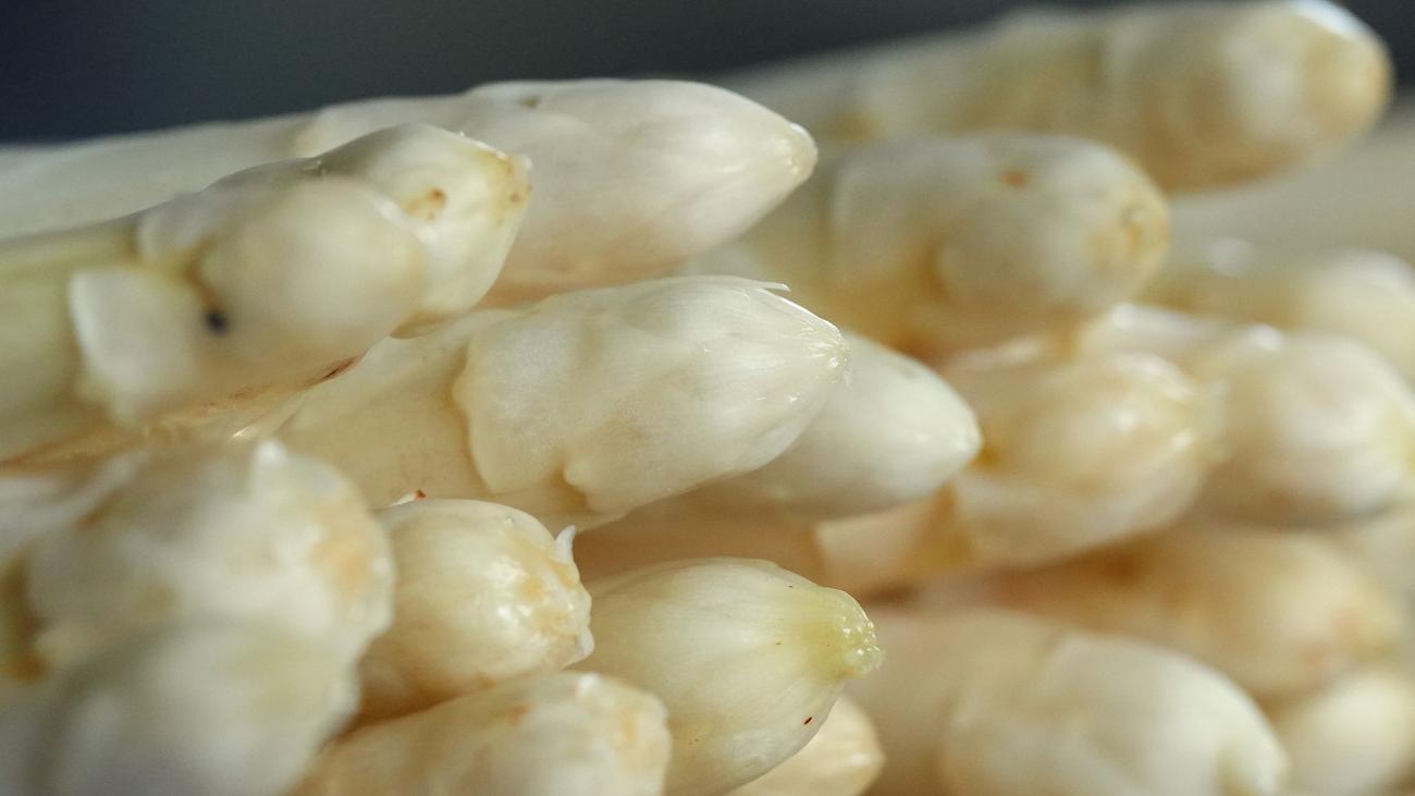 Edles Gemüse: Zu Ostern kaum heimischer Spargel in Schleswig-Holstein