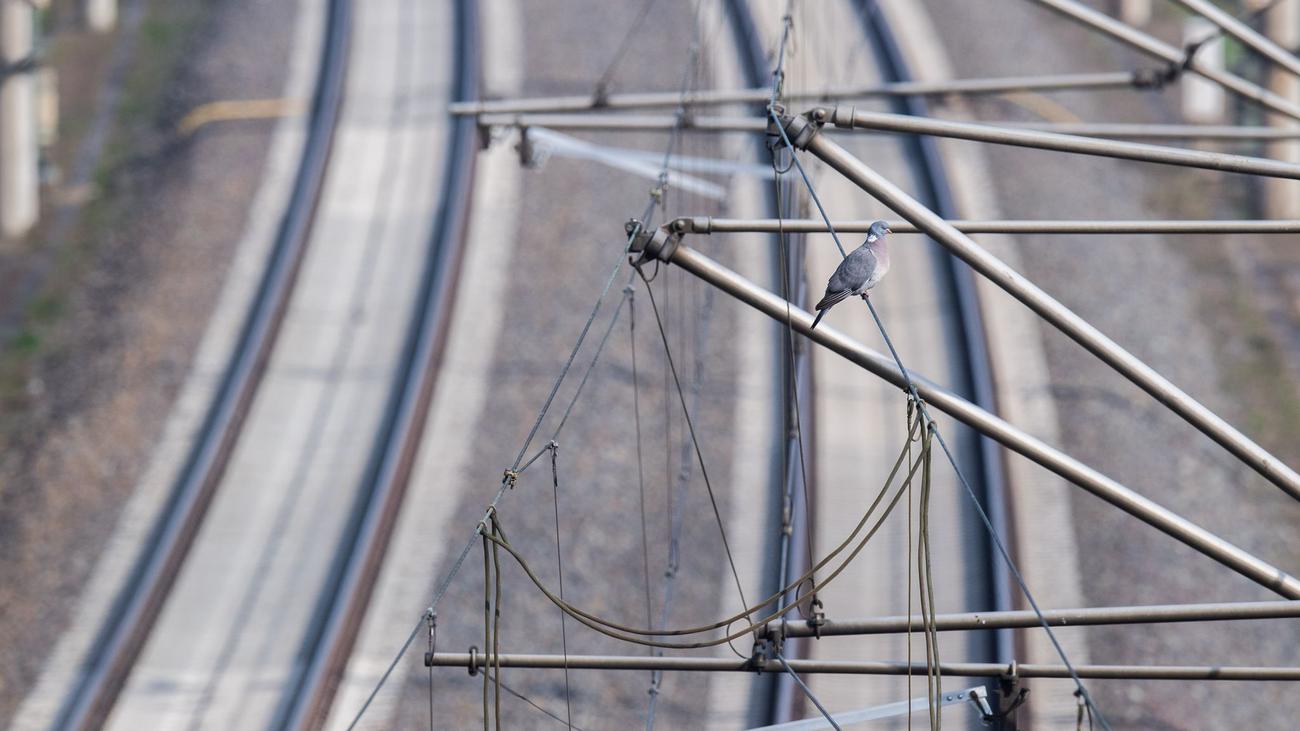 Verkehr: Hunderte wegen kaputter Oberleitung aus S-Bahn evakuiert