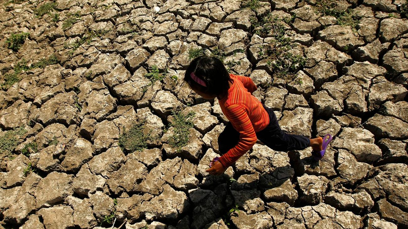 Klima: Kommt dieses Jahr ein Super-El-Niño – und was heißt das?