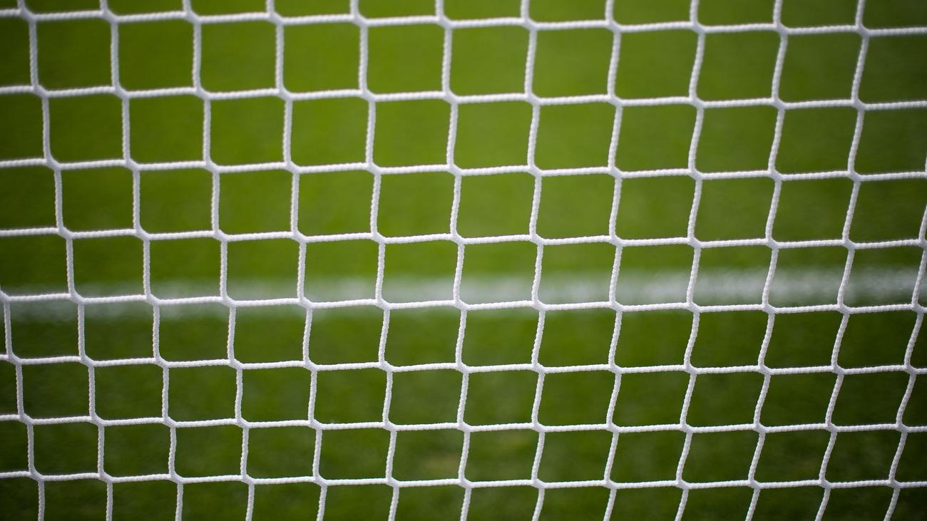 Tier in Not: Rehbock verheddert sich im Netz eines Fußballtores