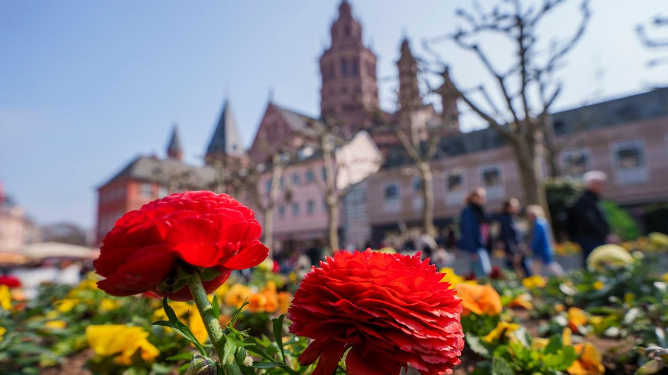 Wetter: Wind und Sonne zu Ostern in Rheinland-Pfalz und Saarland