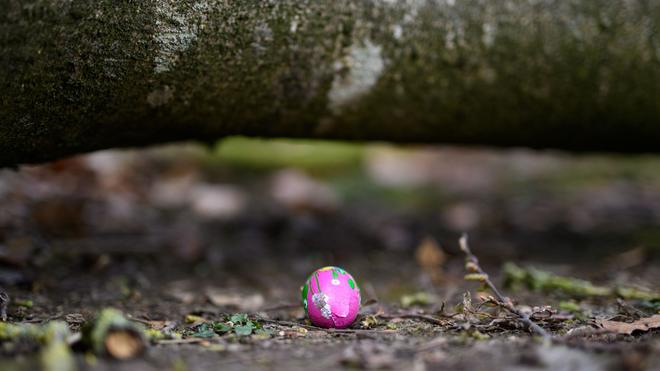 Unglück: Bei einem Unglück in einem Wald bei Flensburg sind mindestens zwei Menschen ums Leben gekommen. Es sei ein Baum umgefallen, sagte ein Polizeisprecher.