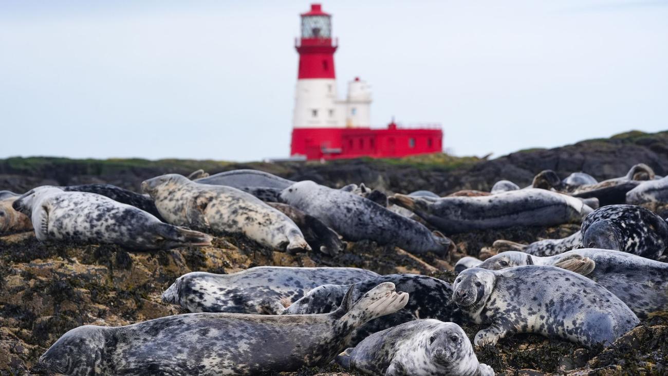 Fotografie: Bilder des Tages