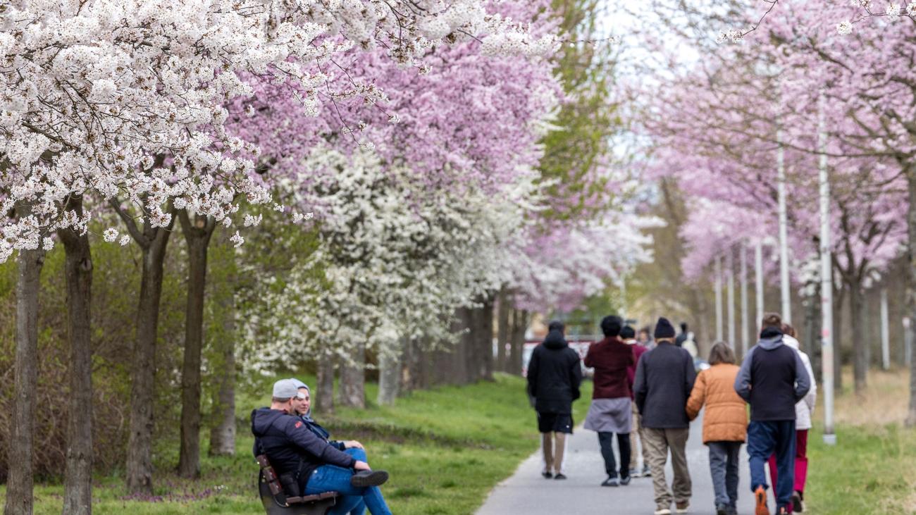 Ostern: Polizei: Osterfest in Brandenburg weitgehend friedlich
