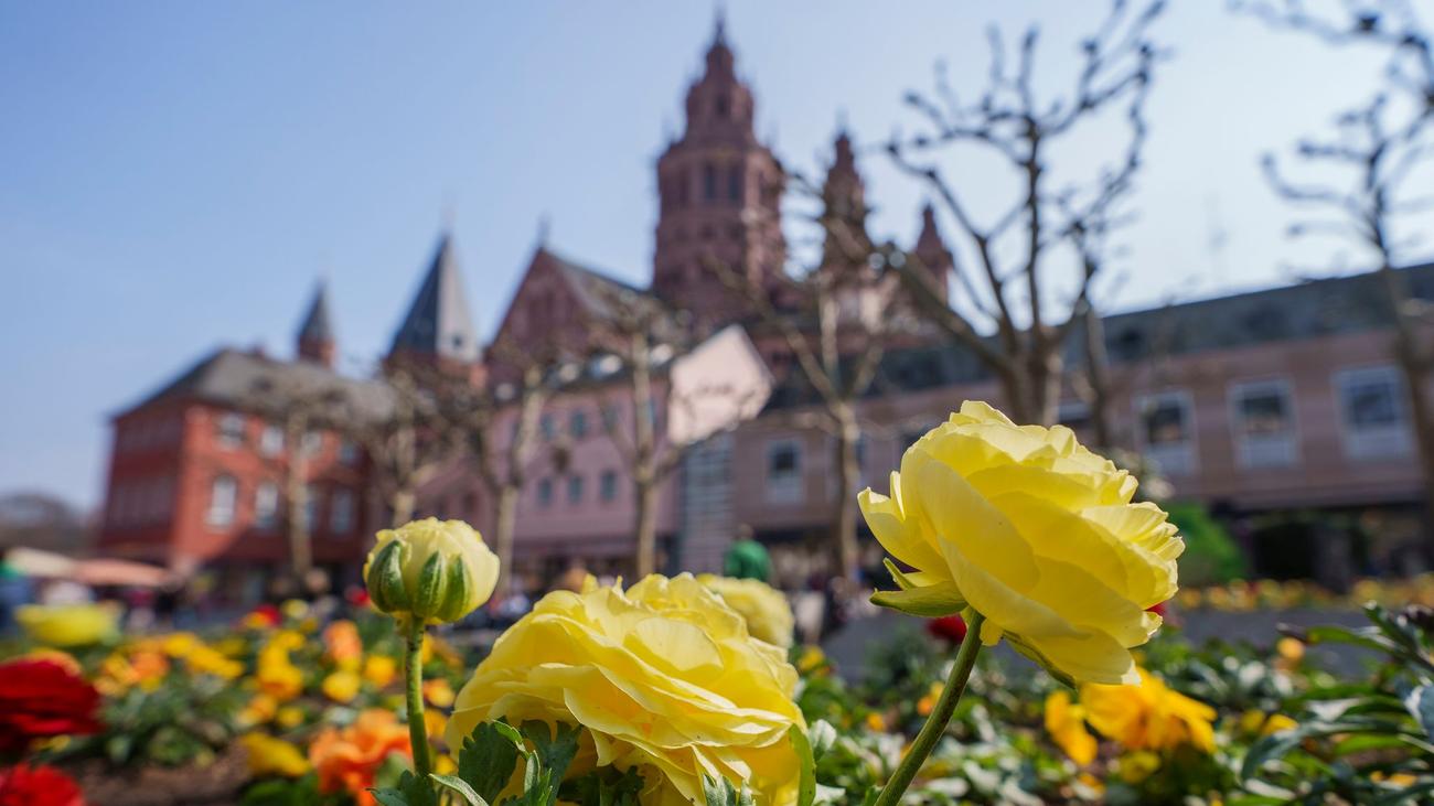 Wetter zum Wochenbeginn: Sonnenschein in Rheinland-Pfalz und dem Saarland