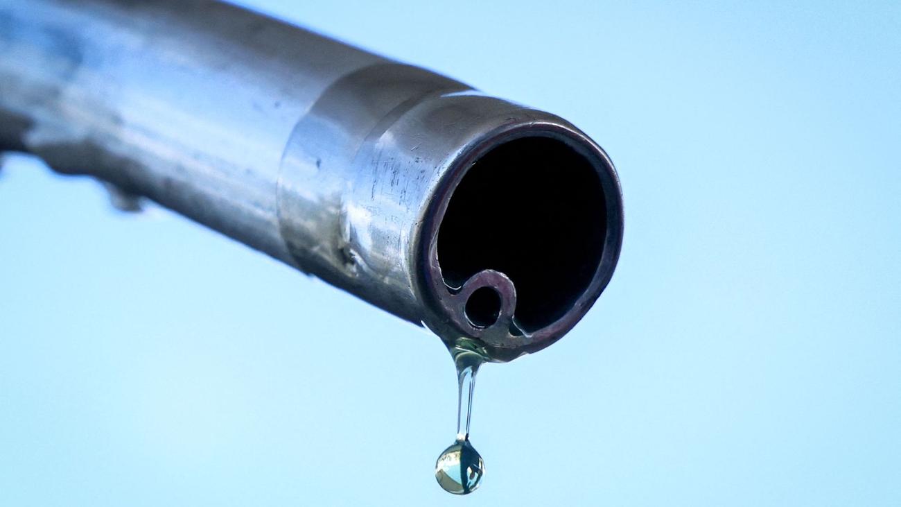 Kosten des Iran-Kriegs: Dieselpreis erreicht weiteren Rekord