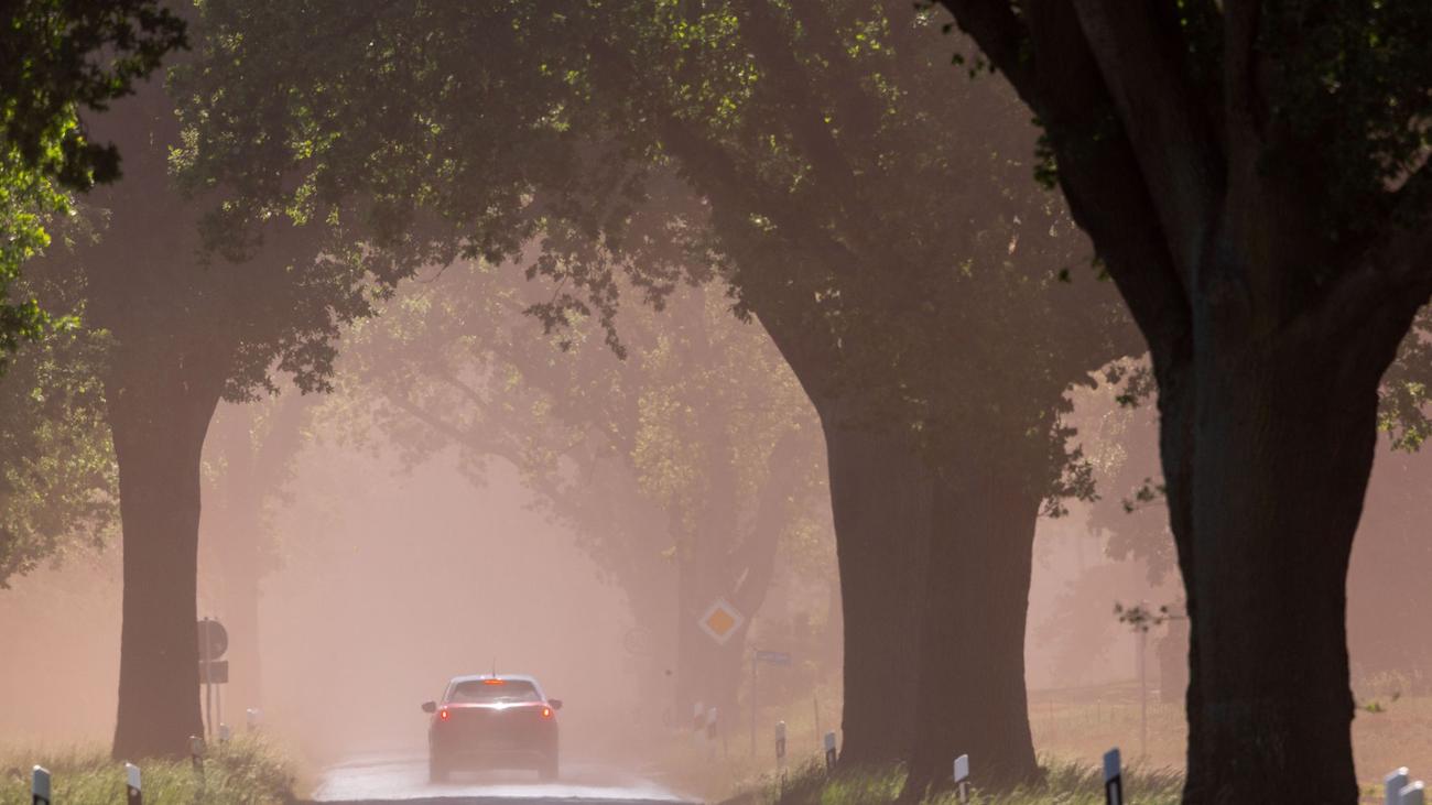 Stürmische Böen: Sandverwehungen sorgen im Nordosten für schlechte Sicht