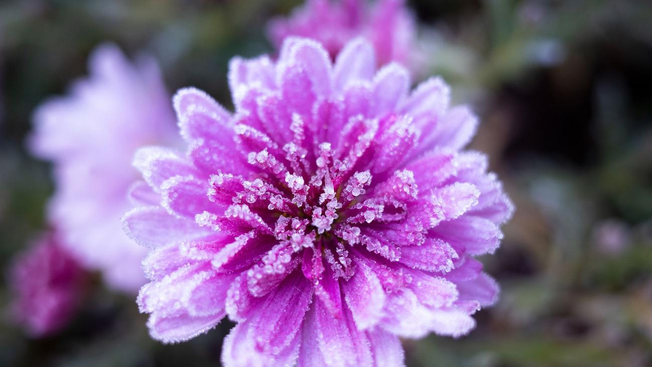 Wetter im Norden: Sonne und Frost lösen Sturm nach Ostern ab