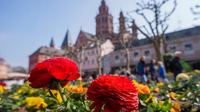 Wetter: Die Sonne wird in den nächsten Tagen zur ständigen Begleiterin. (Symbolbild)