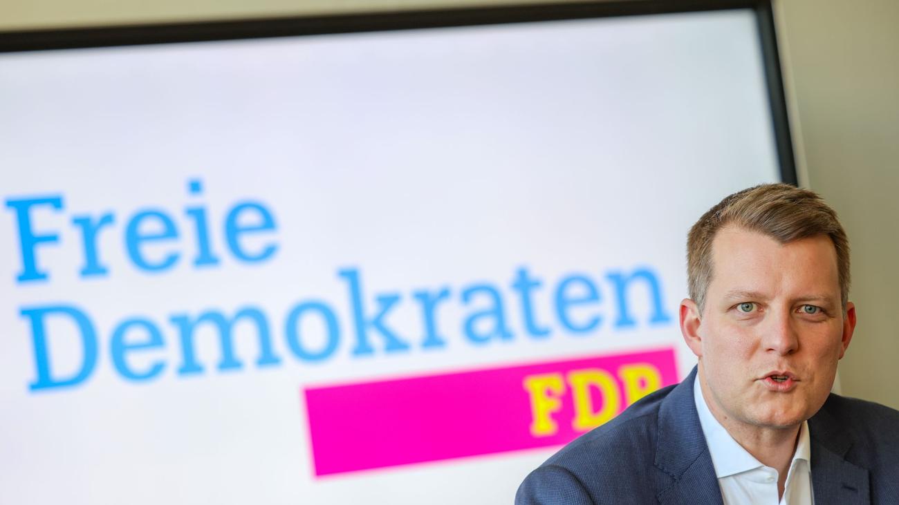 Krise der Liberalen: FDP-Landeschef Höne will Bruch mit Ampel-Zeit