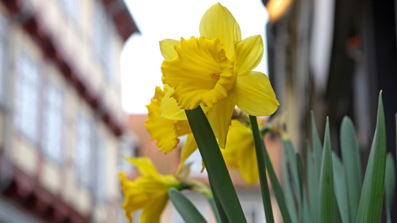Wetter: Frost am Morgen, Sonne am Tag