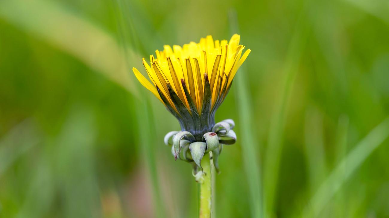 Wetter-Aussichten: Sonnige Tage und milde Temperaturen in NRW