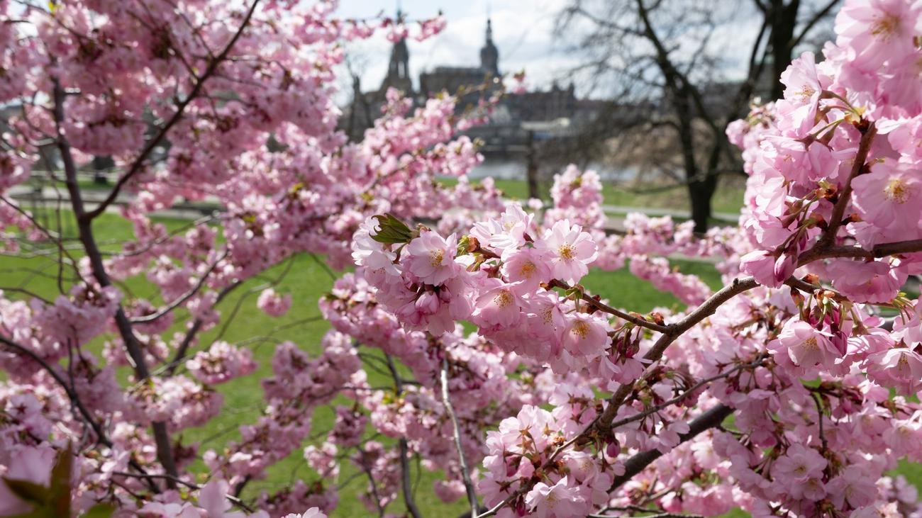 Wetter: Wieder Sonne in Sachsen