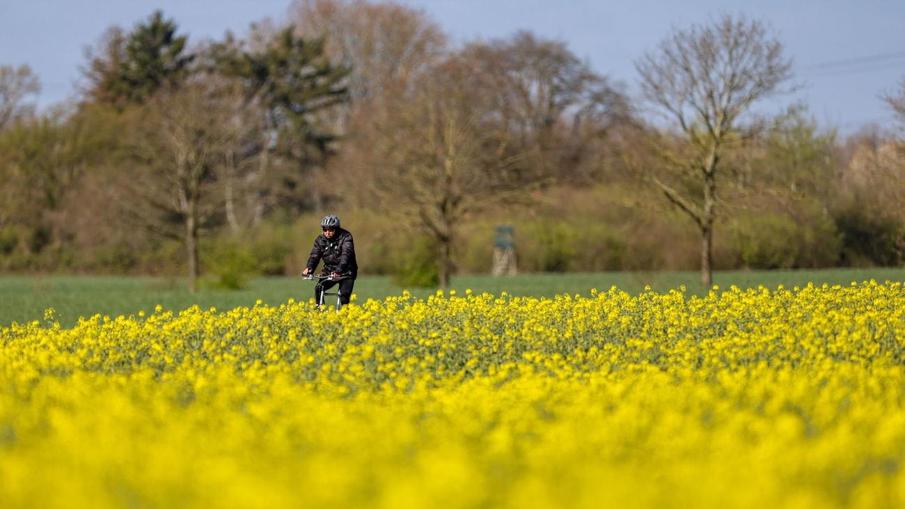 Wetter: Freundliches Frühlingswetter in NRW