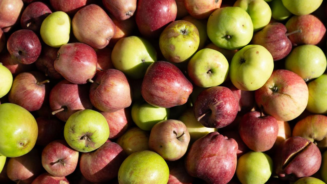 Ernährungsmesse: Messe in Leipzig rückt Bio-Trends in den Fokus