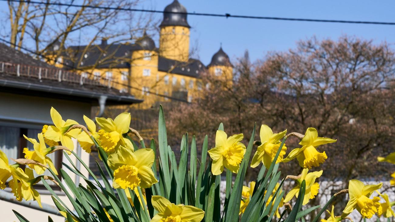 Wetter: Nach milden Tagen wird es am Freitag kühler