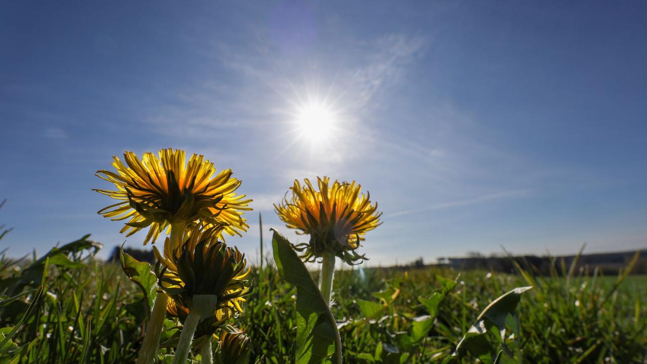 Wetterbericht: So lange hält das frühlingshafte Ferienwetter noch