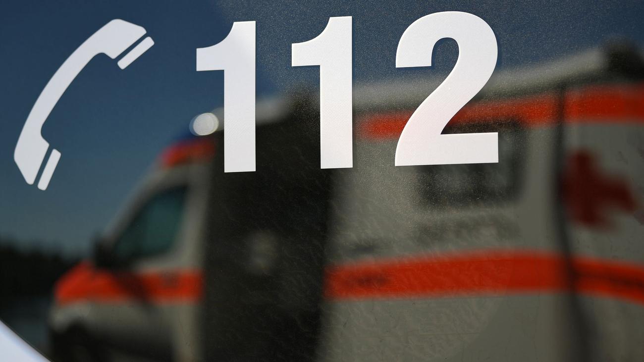 Ludwigsburg: Auto von Lieferdienstfahrer durchbricht Hecke