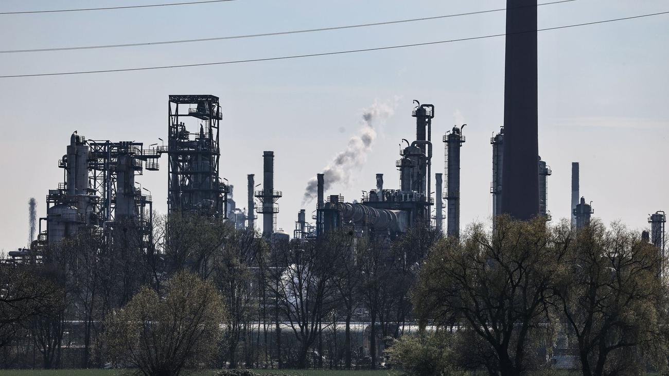 Kraftstoff-Fabrik: Bericht: Bundesregierung prüft Verkauf von BP-Raffinerie