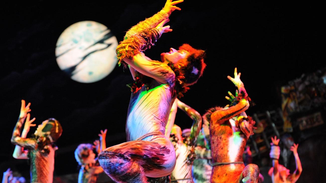 Musicals in Hamburg: "Cats" löst vor 40 Jahren in Hamburg Musical-Boom aus