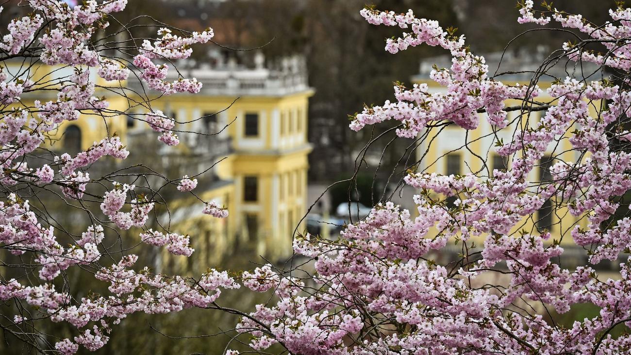 Wettervorhersage: Erst Sonne, dann Regen - Aprilwetter in Hessen