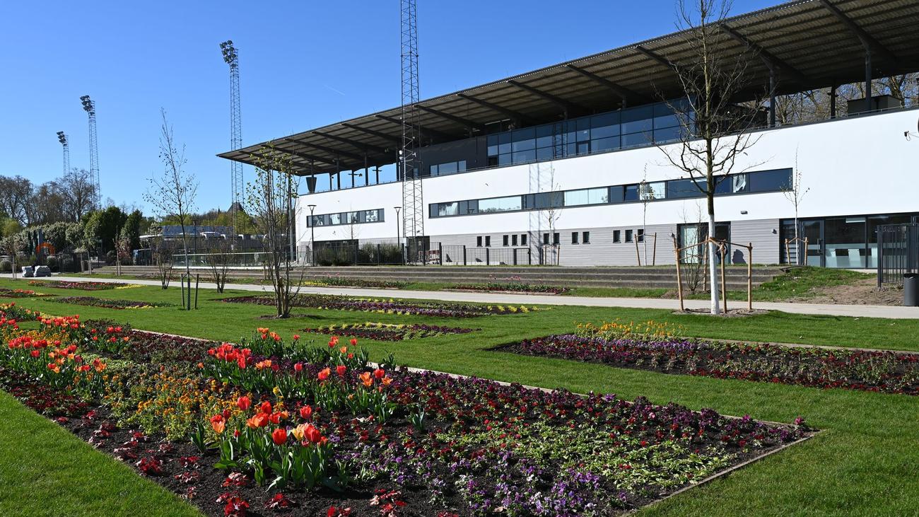 Das Gelände soll aufblühen: Stadtpark statt Rennbahn - Landesgartenschau startet