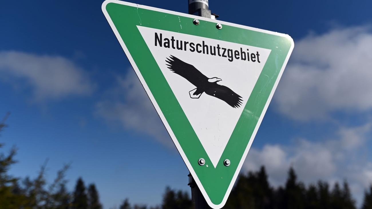 Umweltvergehen: Unbekannte waschen Autos im Naturschutzgebiet