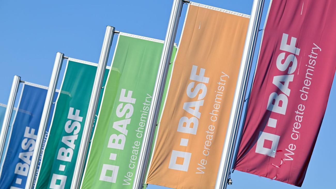Unfälle: Vier Verletzte bei Arbeitsunfall in BASF-Werk