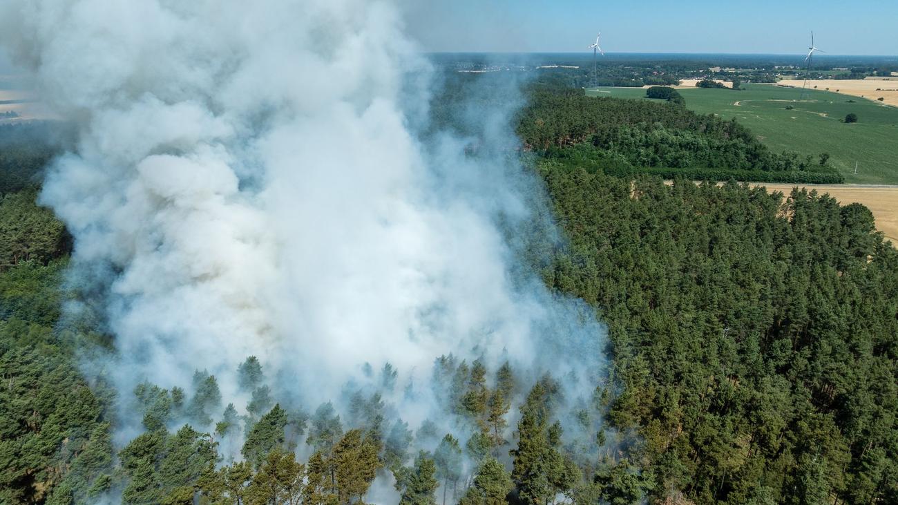Überall Stufe 3: Waldbrandgefahr steigt in Brandenburg weiter an