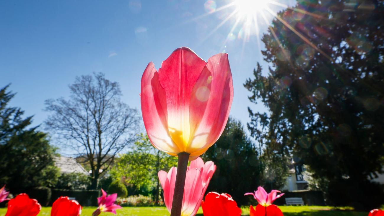 Wetter-Mix: Wechselhaftes Wetter und milde Temperaturen in NRW erwartet