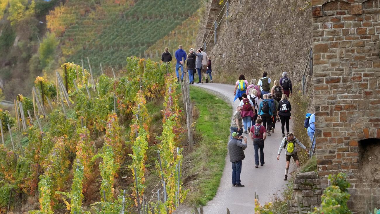 Freizeit: Wein und Kultur: 100 geführte Wanderungen
