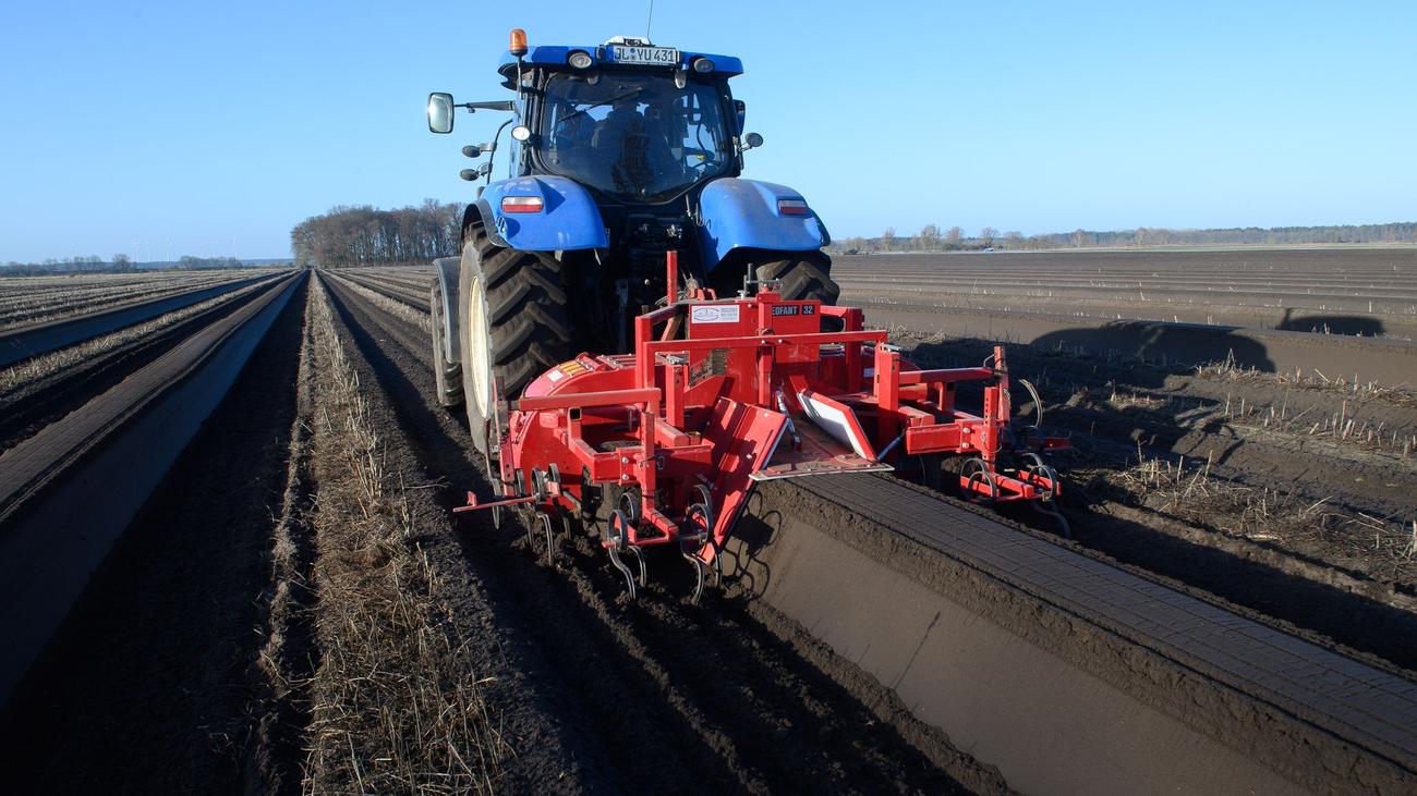 Landwirtschaft: Weniger Dünger, gleiche Ernte? Nitratstreit spitzt sich zu