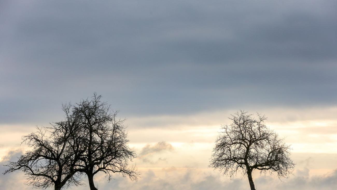 Vorhersage: Wechselhafter Start in die Woche – ab Dienstag freundlicher