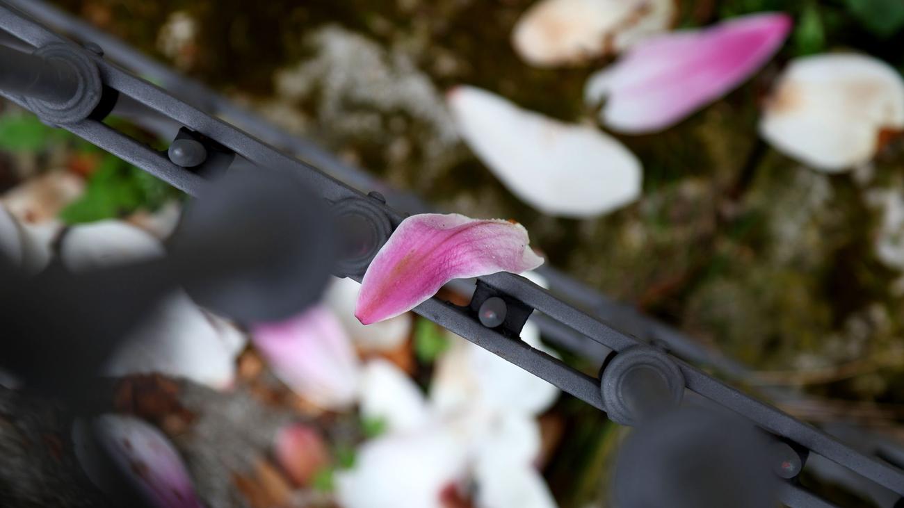 Wetterausblick: Aprilwetter in Bayern – Sonne, Regen und Gewitter im Wechsel