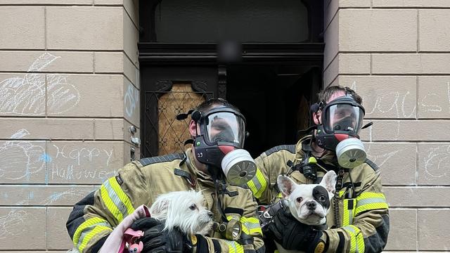 Bild: Brände: Mehrere Verletzte bei Kellerbrand in Mehrfamilienhaus