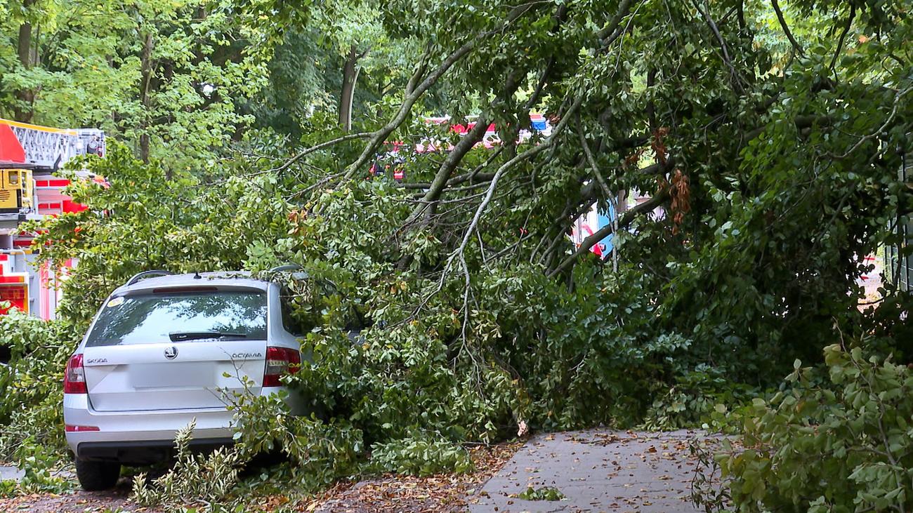 Versicherungswirtschaft: Versicherer: Weniger Unwetterschäden an Autos in Hamburg