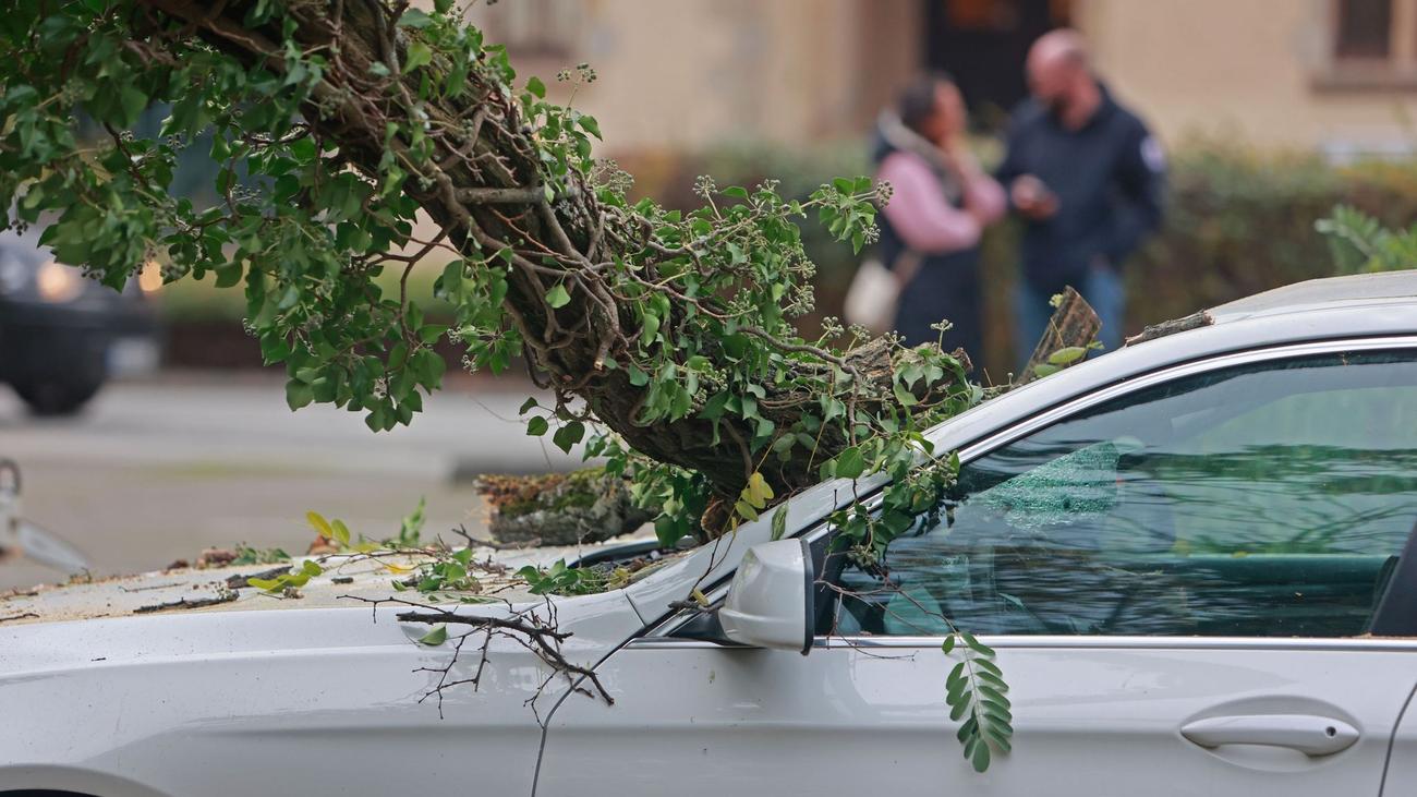 Bilanz: Weniger Unwetterschäden an Fahrzeugen in Sachsen-Anhalt