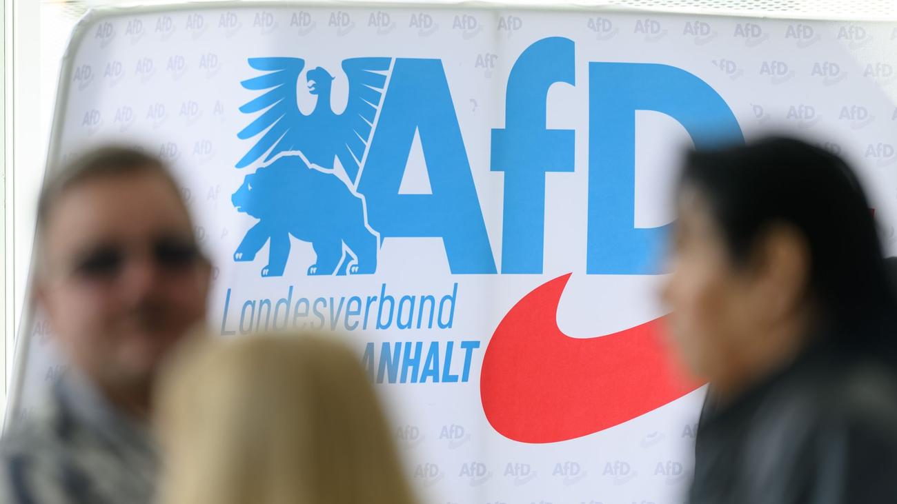 Extremismus: AfD in Sachsen-Anhalt laut Regierung besonders geschlossen