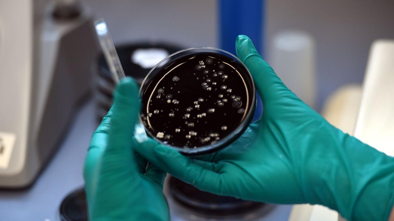 Nach Fußpflege gestorben: Zwei Tote nach Legionellen in Salon – Betreiberin entlastet