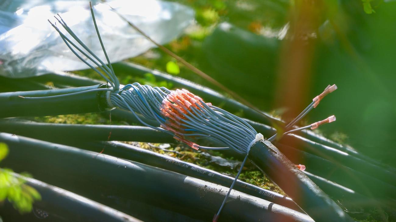 Bahnverkehr: Bahn-Kabel in Gelsenkirchen: Kein Hinweis auf Sabotage