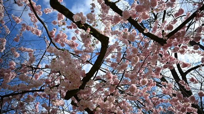 Wetteraussichten: Es ist in Hessen verbreitet heiter und sonnig. (Archivbild)