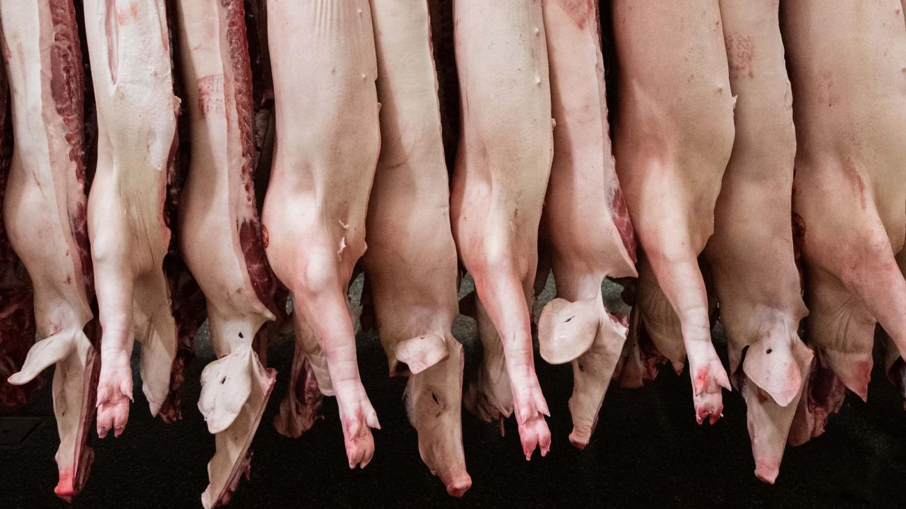 Bundesverfassungsgericht: Vorschriften für Fleischindustrie: Karlsruhe weist Klage ab