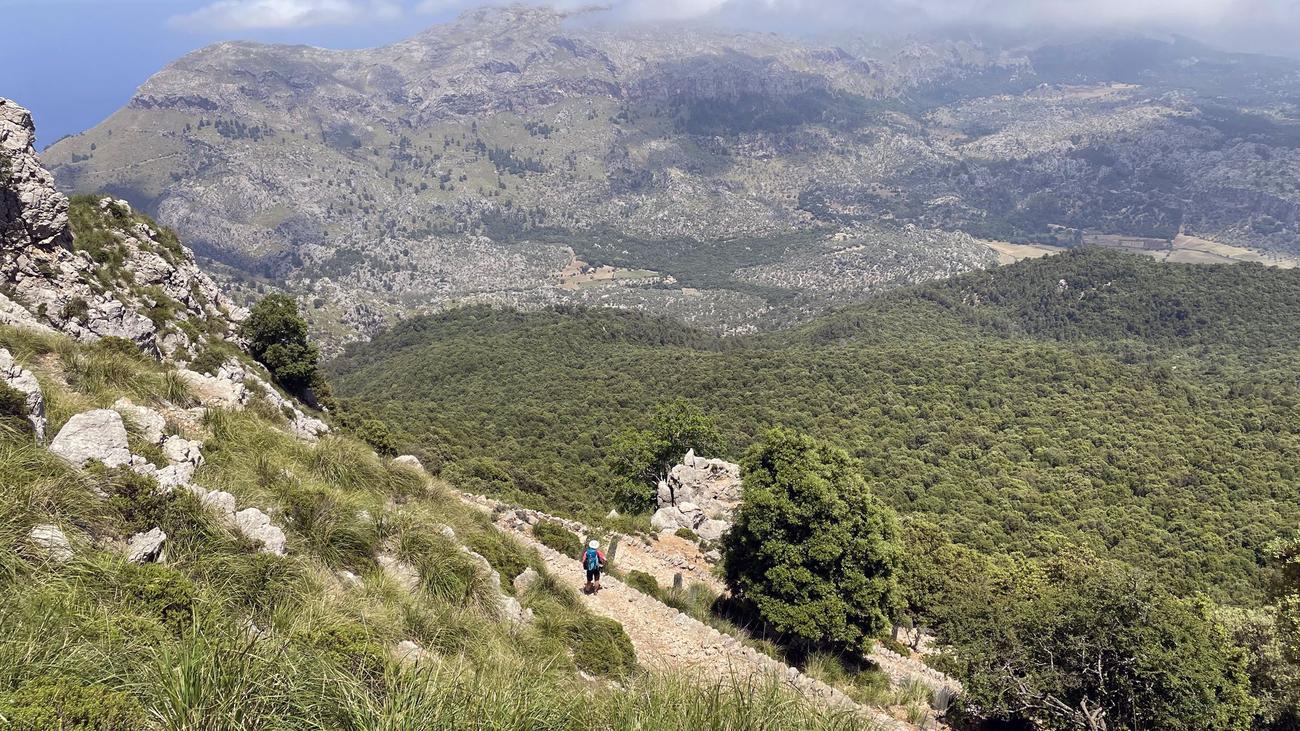 Tod im Urlaub: Deutscher stürzt bei Wanderung auf Mallorca in den Tod