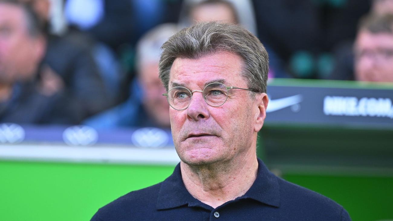 Fußball-Bundesliga: Hecking zu Internet-Kommentaren über Eta: »IQ gleich null«