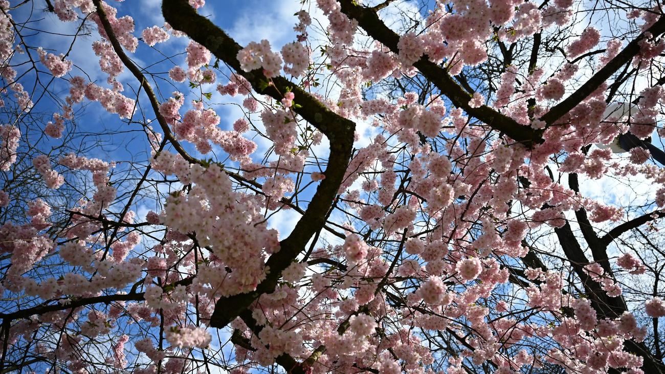 Wetter-Aussichten: Regen, Sonne, Nebel: wechselhaftes Wetter in Hessen