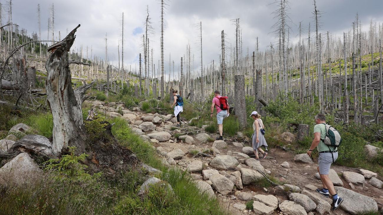 Freizeit: Sicher unterwegs im Harz: Was Wanderer beachten sollten