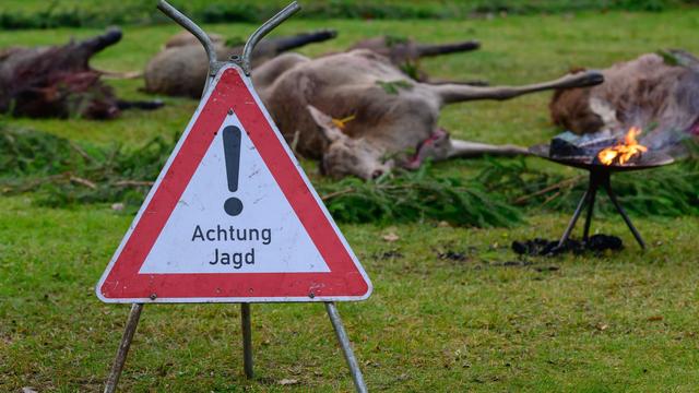 Jägerprüfungen 2025: 895 Jägerprüfungen: Fast jeder Zweite fällt durch